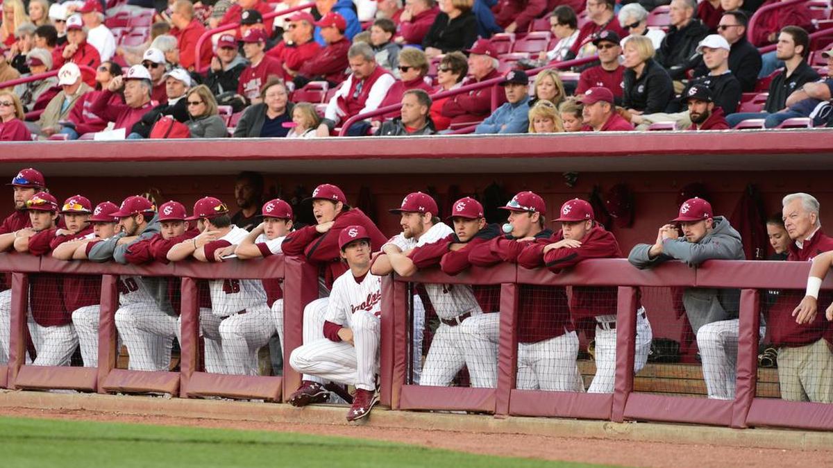 South Carolina will host Missouri in a three-game series this weekend at Founders Park.