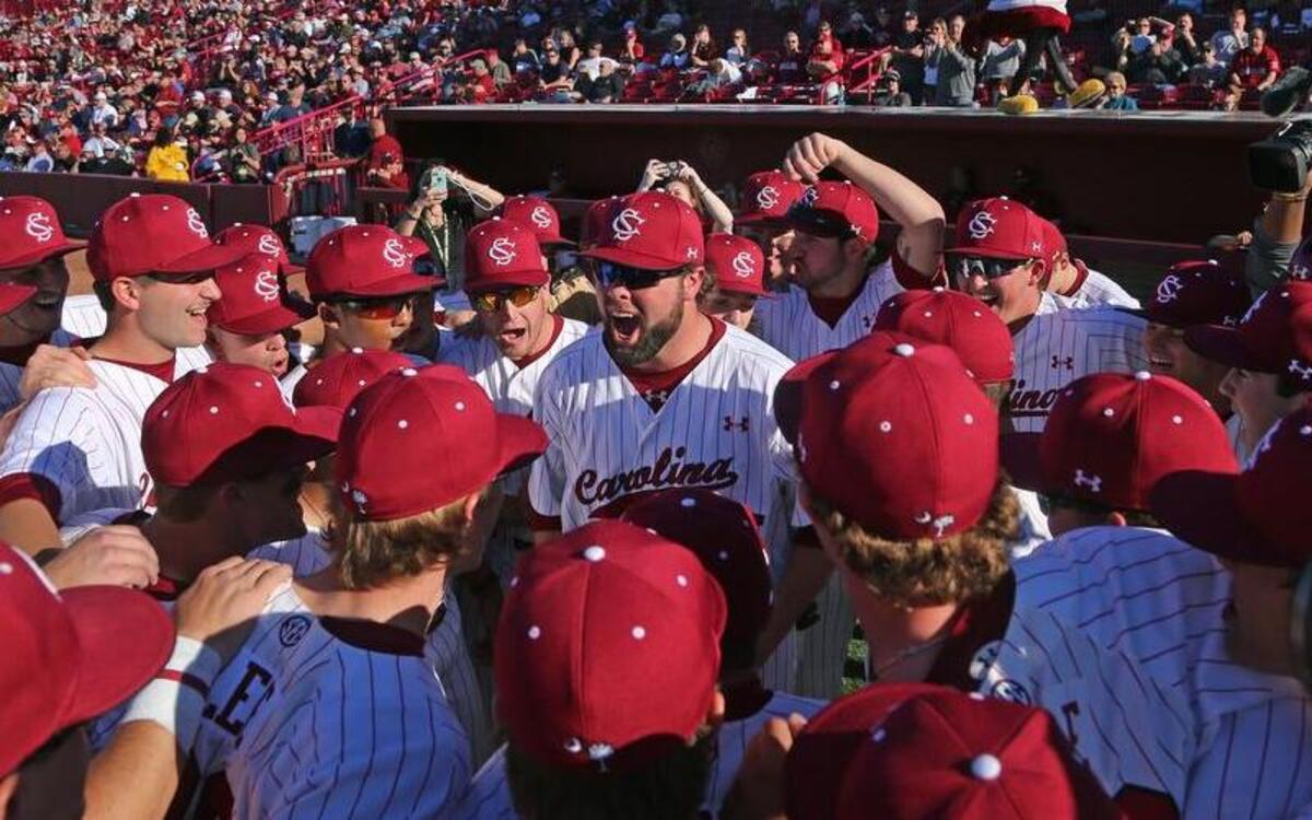 South Carolina hosts Wright State in a three-game series this weekend.
