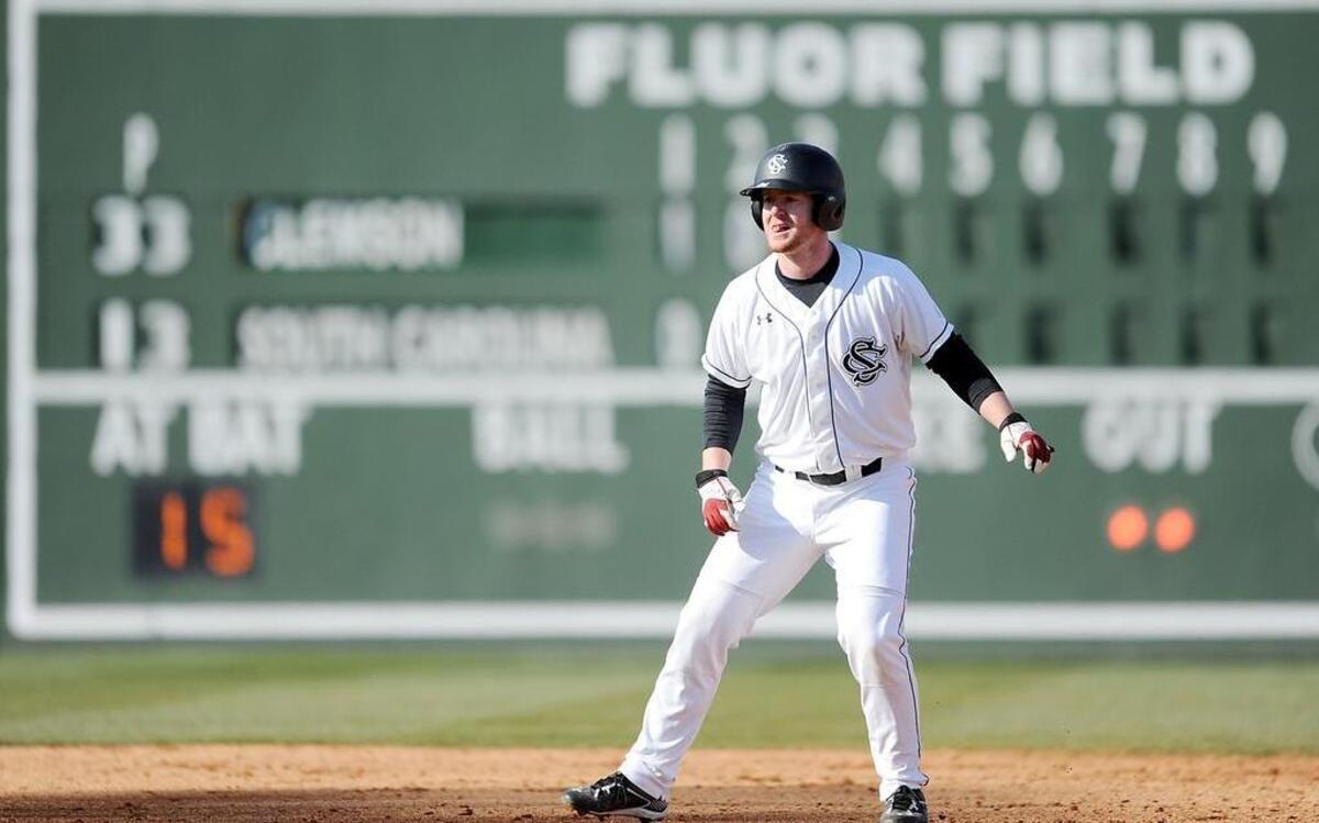 South Carolina and Clemson will meet on the baseball diamond for a three-game series this weekend.