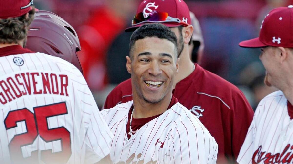 South Carolina junior outfielder Dom Thompson-Williams has reached base safely in all 14 games.