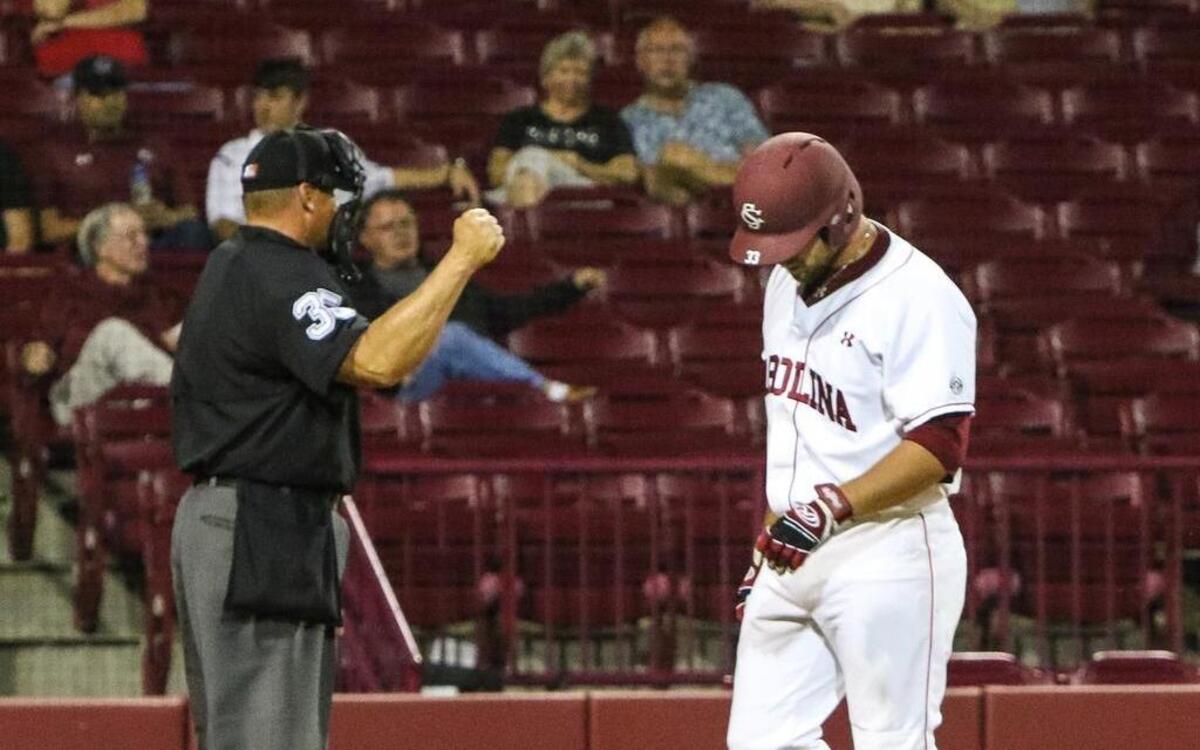 
South Carolina’s Kyle Martin strikes out during the Gamecocks’ loss earlier this month to Presbyterian.

