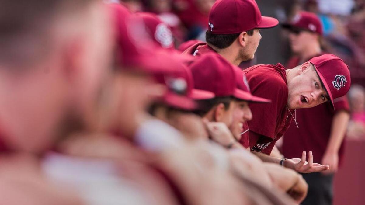 South Carolina pitcher Braden Webb