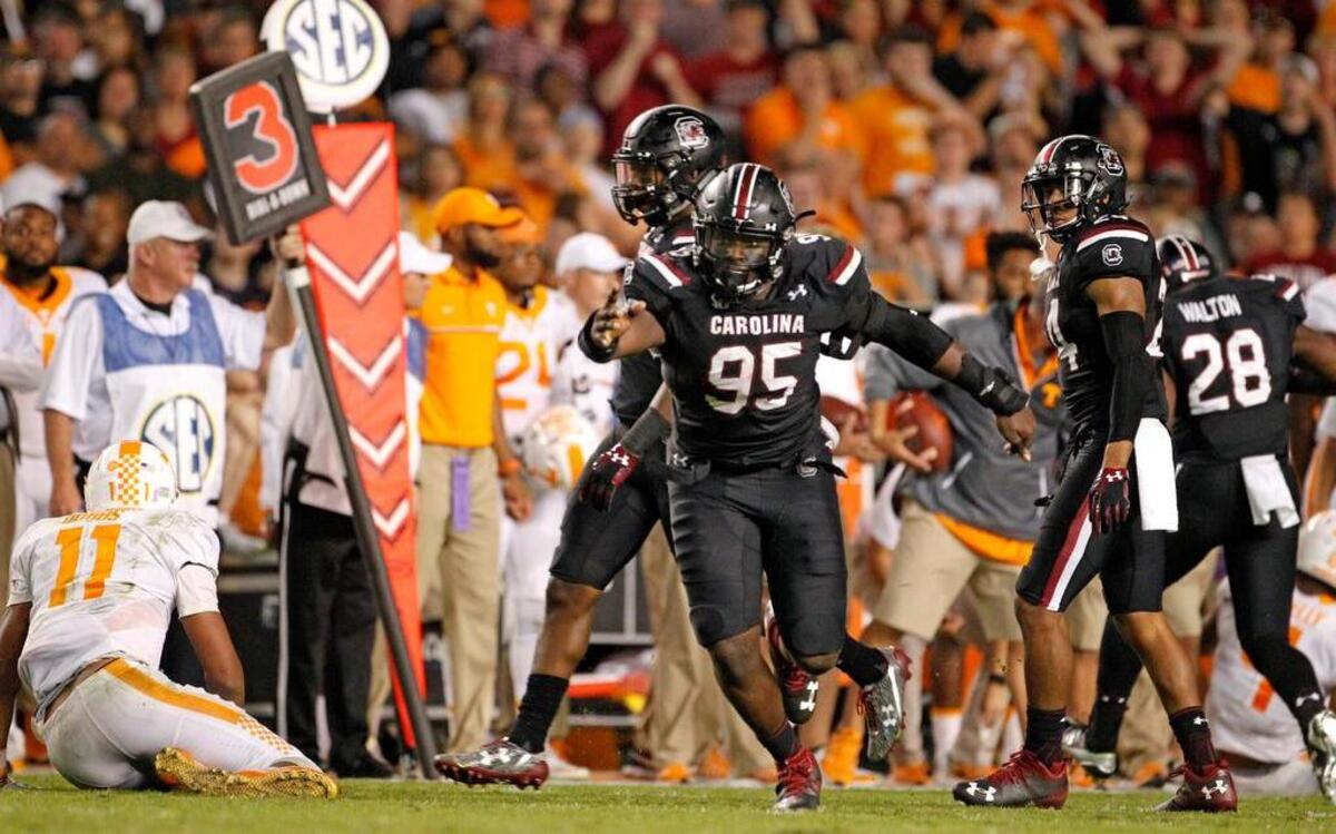 South Carolina Gamecocks defensive lineman Dante Sawyer (95) celebrates a stop in the second half against Tennessee