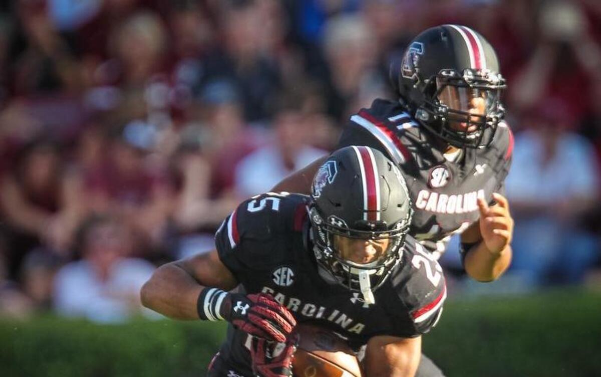 South Carolina running back A.J. Turner (25) takes the handoff from quarterback Brandon McIlwain (11)