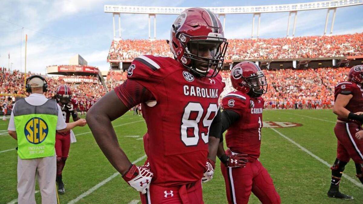South Carolina Gamecocks tight end Jerell Adams (89)