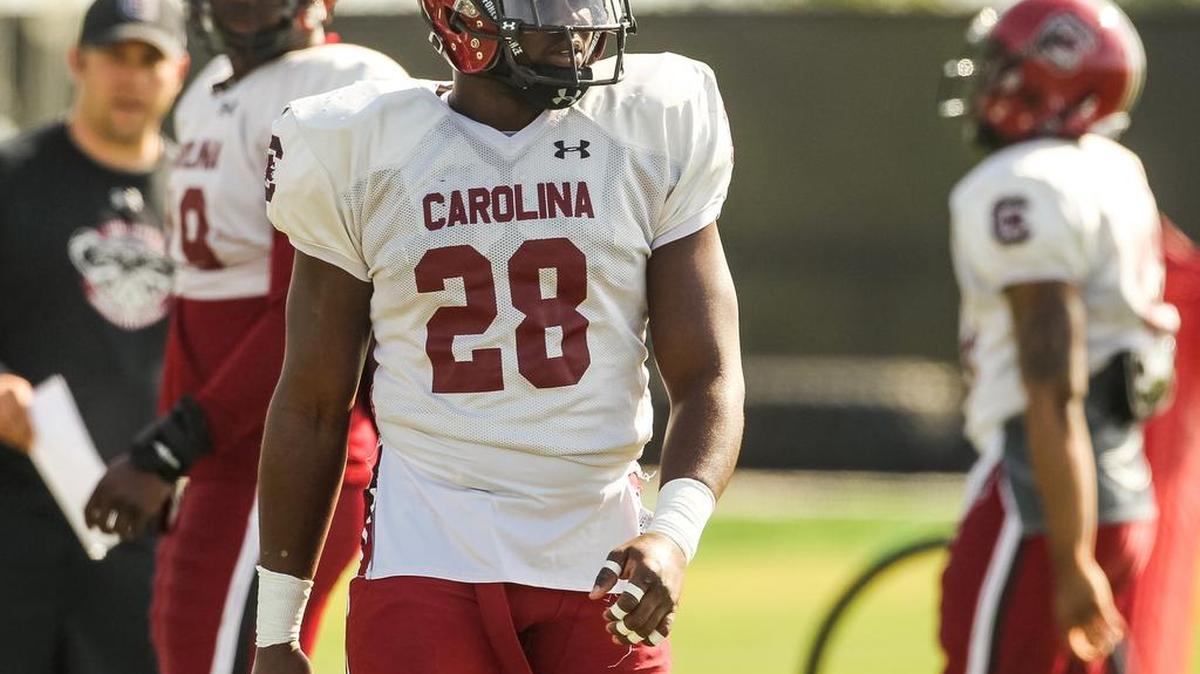 South Carolina linebacker Jonathan Walton did what he could to take advantage of extra reps this spring with starter Skai Moore injured.