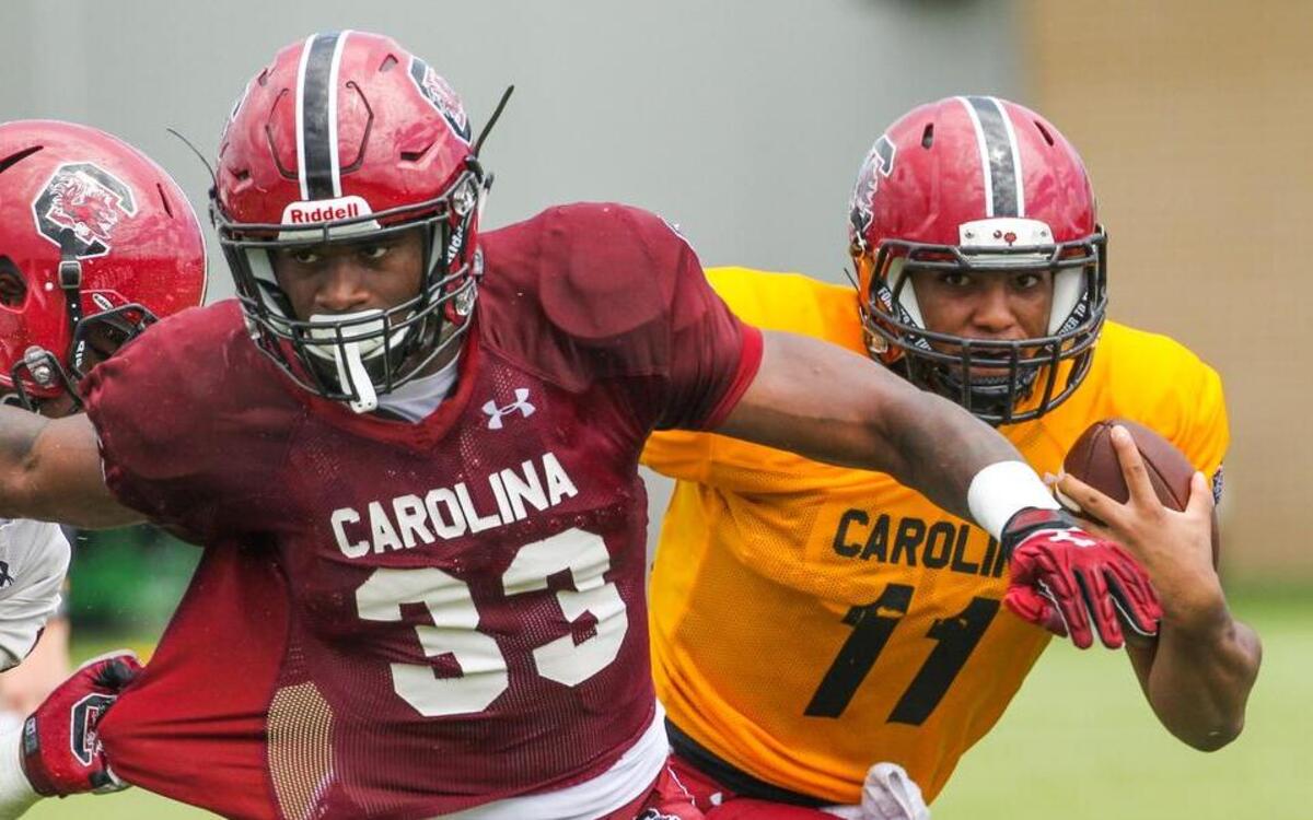 South Carolina running back David Williams (33) and quarterback Brandon McIlwain (11)