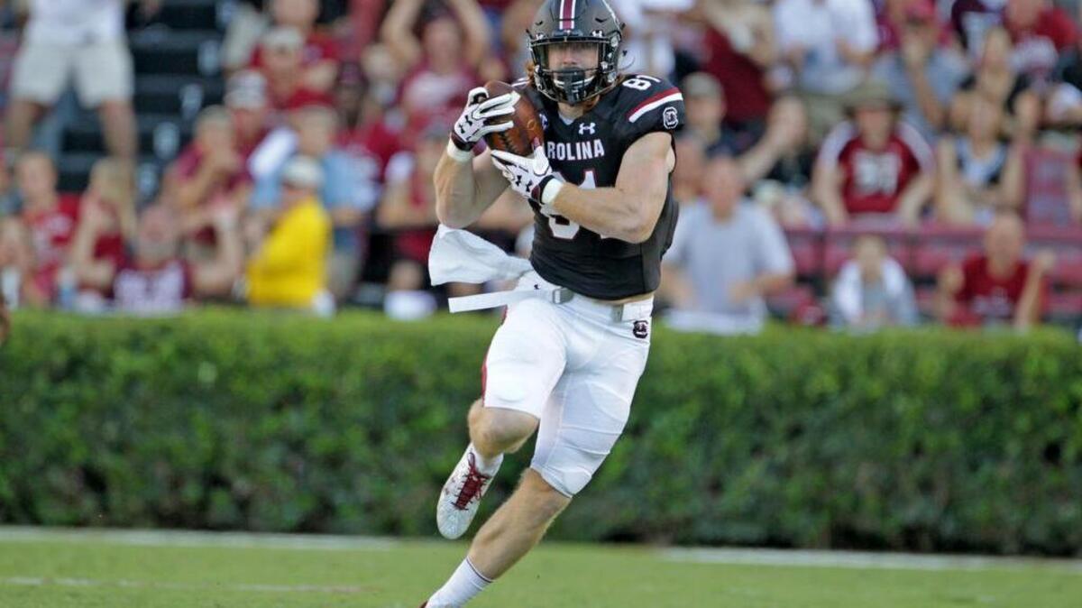South Carolina tight end Hayden Hurst (81)
