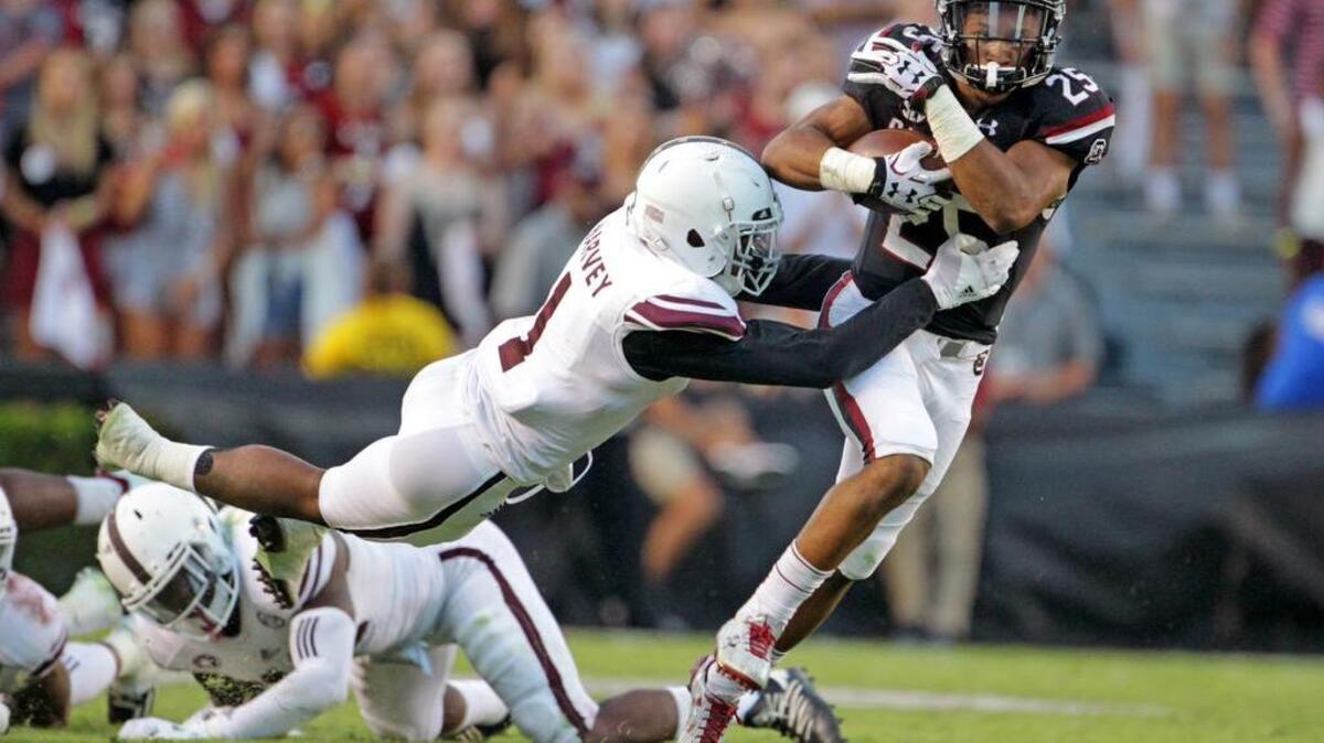 South Carolina Gamecocks running back A.J. Turner (25)