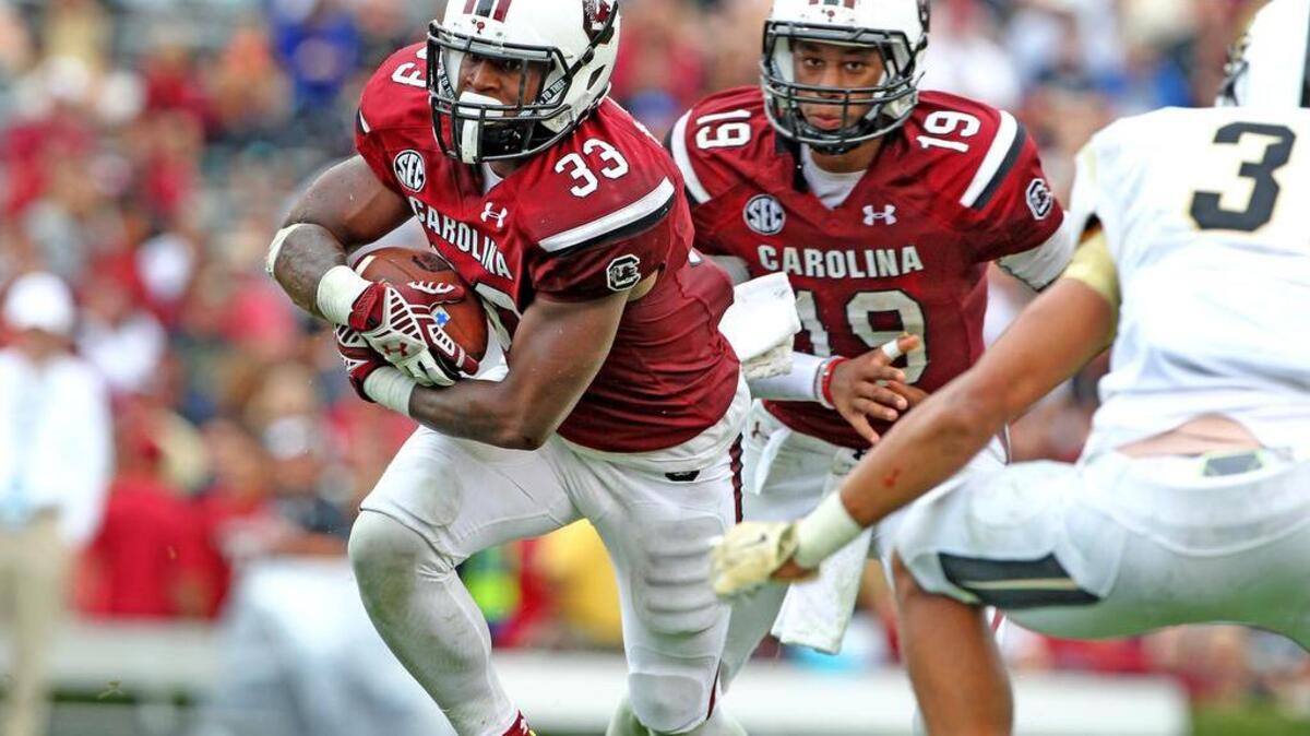 South Carolina running back David Williams (33)