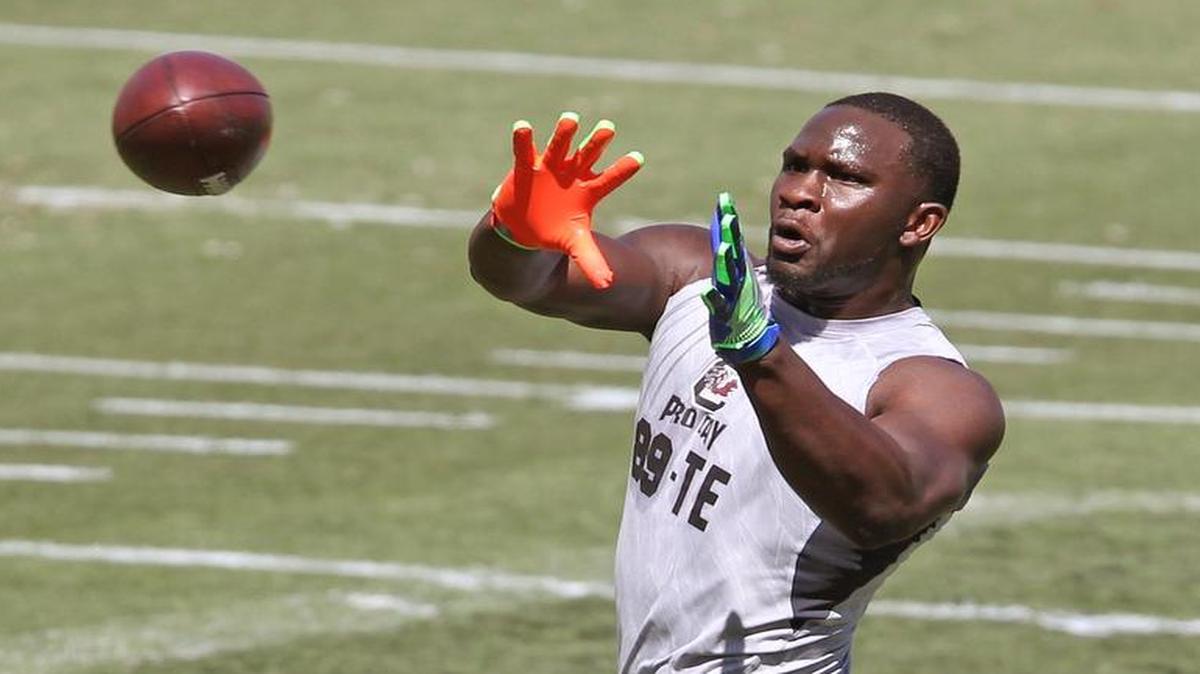 South Carolina tight end Jerell Adams (89) runs through routes in front of NFL coaches and scouts during USC Pro Day at Williams-Brice Stadium in March.