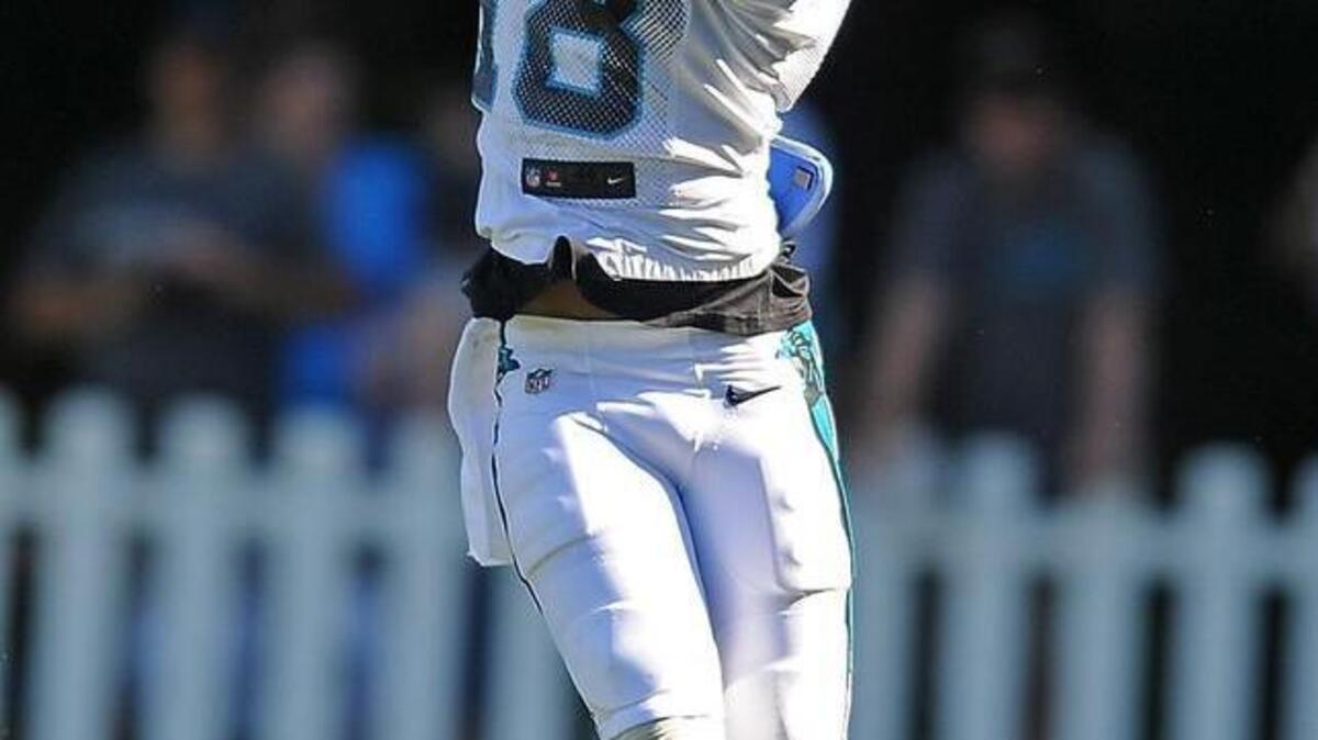 
Carolina Panthers rookie wide receiver Damiere Byrd.
