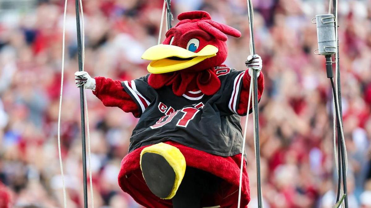 Cocky during the 2022 South Carolina Spring Game at Williams-Brice Stadium in Columbia, SC, April 16th, 2022.