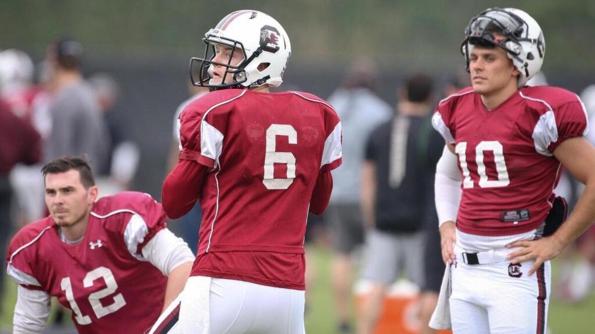 
Quarterbacks Michael Scarnecchia, Connor Mitch and Perry Orth.
