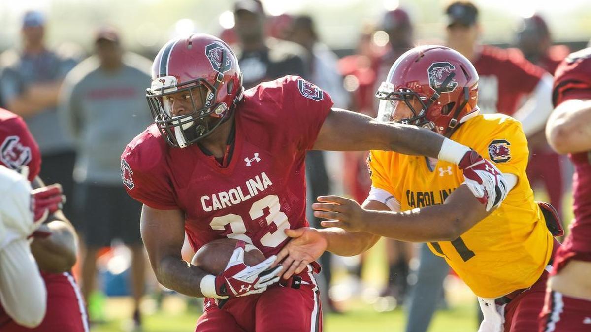 South Carolina running back David Williams (33) and quarterback Brandon McIlwain (11) are expected to be featured players Saturday.