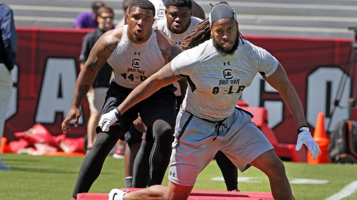 Former South Carolina Gamecocks linebacker and Rutgers transfer Kaiwan Lewis (8)