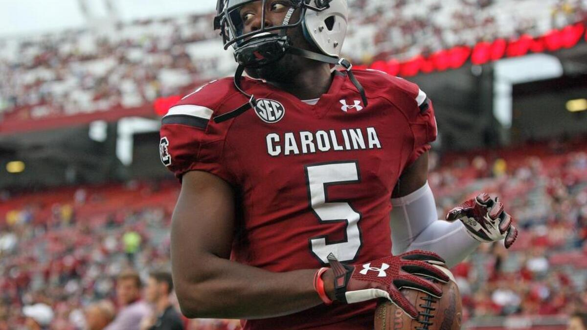South Carolina wide receiver Terry Googer