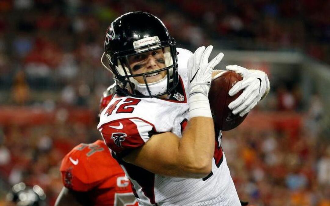 Patrick DiMarco has gone from the Gamecocks to a Pro Bowl fullback with the Falcons, who play in Super Bowl LI.