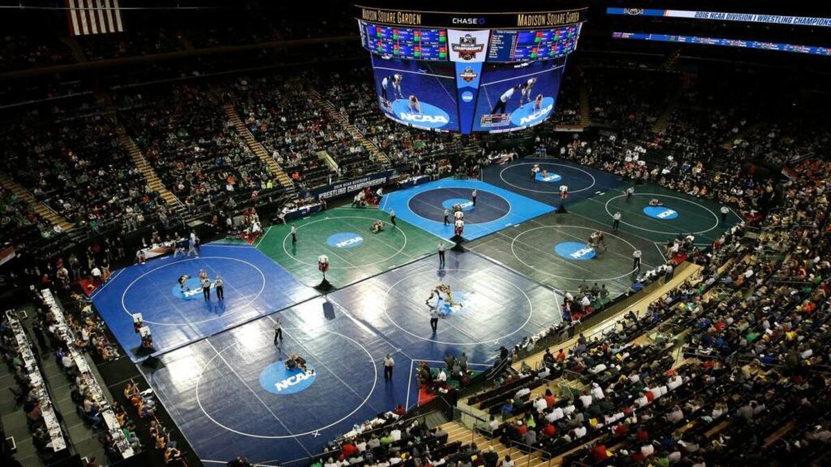 Madison Square Garden will open its doors to South Carolina basketball in December.
