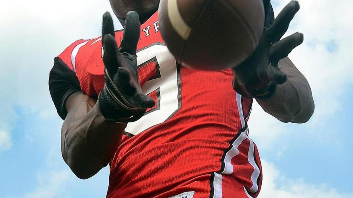 Palmyra High School's wide receiver Kelvin Harmon.