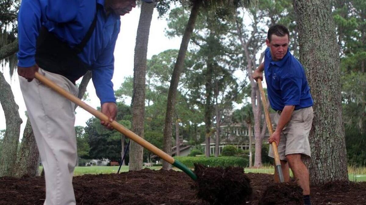 
Harbour Town Golf Links golf maintenance intern Niall Rose, right, and golf maintenance employee Jacob Stewart spread mulch in the grove of trees between the green of No. 17 and the tee of No. 18 on Monday morning at Harbour Town Golf Links in Sea Pines Resort on Hilton Head Island. “The mulch was the last thing for us to do before re-opening today,” said John Farrell, Harbour Town Golf Links golf pro. 
