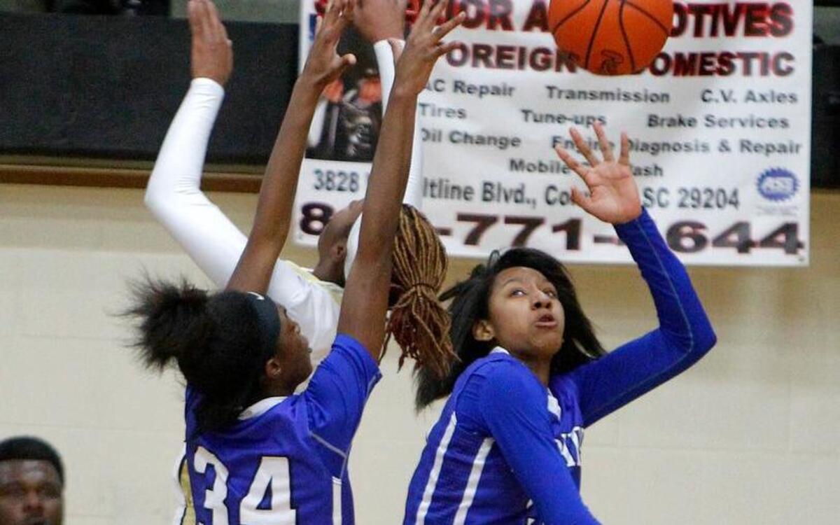 Dreher High's Jaelynn Murray blocks a shot during their win over Lower Richland.