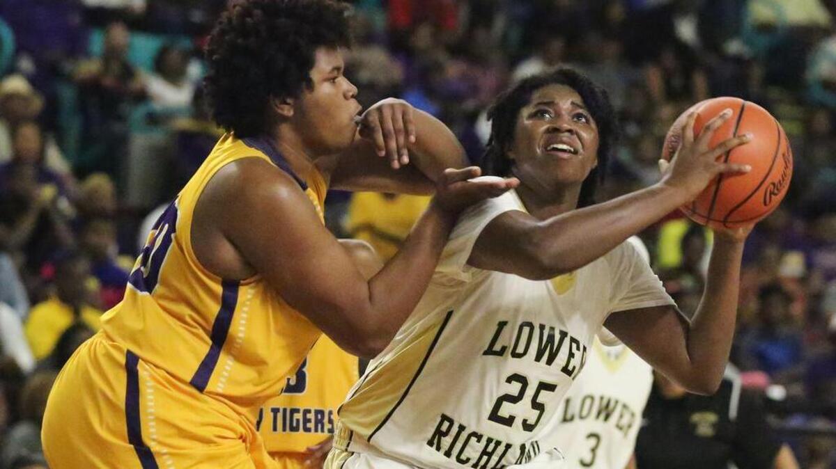 Lower Richland’s Cailah Hicklin looks to shoot as Wilson’s Keturah Hunter defends during the Class 4A lower state championship game on Friday, Feb. 24, 2017. The Wilson Tigers won, 49-35.
