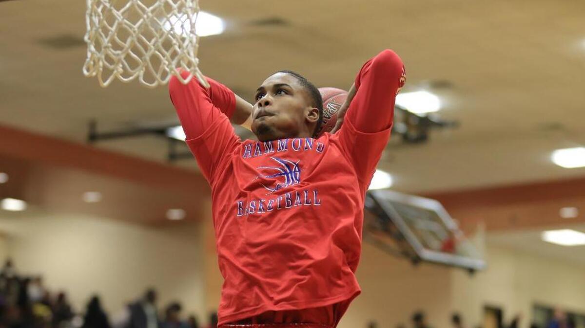 
Hammond's Seventh Woods 
