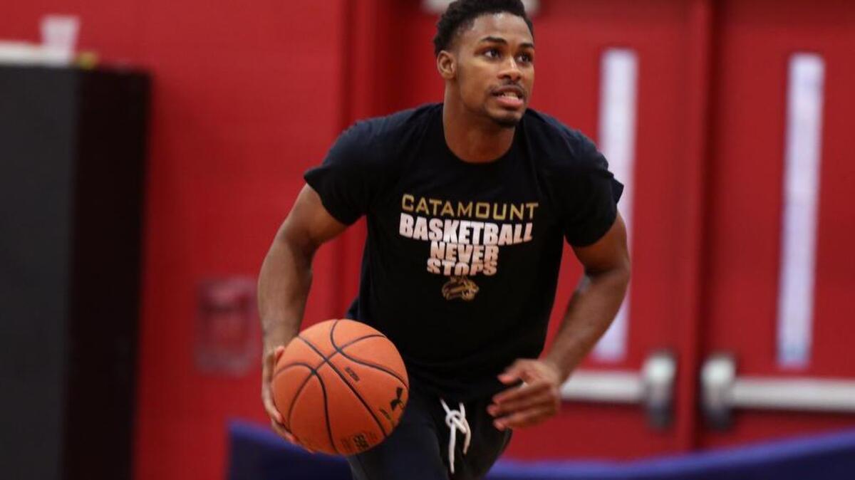 Hammond’s Seventh Woods