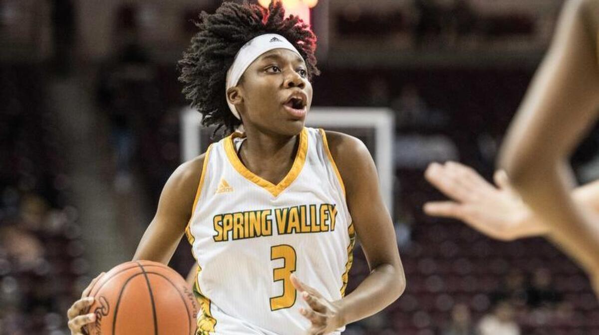 Spring Valley's Taylor Lewis was among the Midlands' leaders in scoring, rebounding, assists and blocks.
