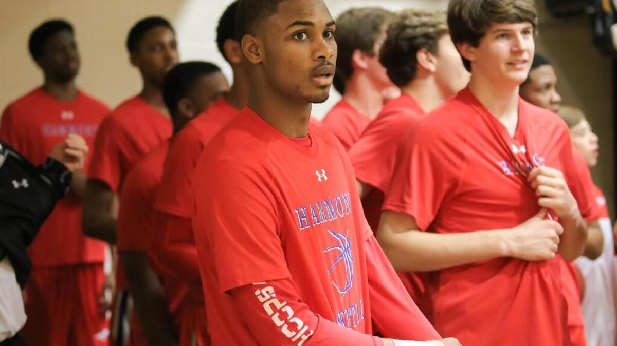 
Seventh Woods
