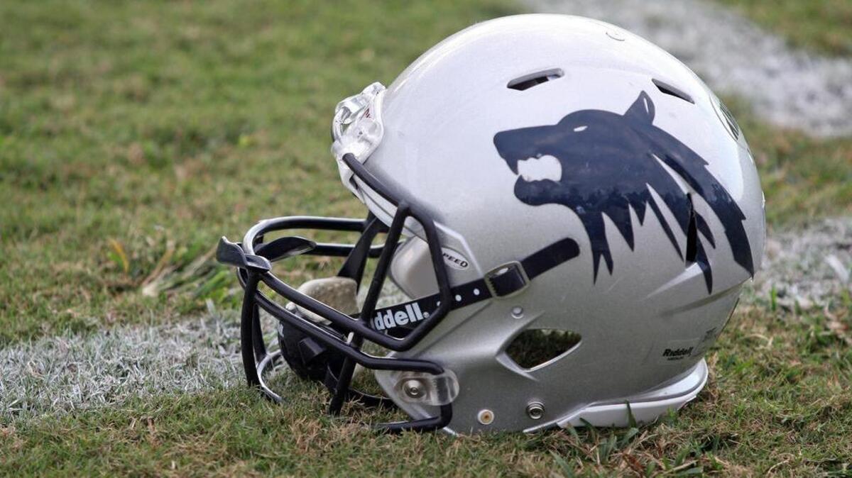 White Knoll football