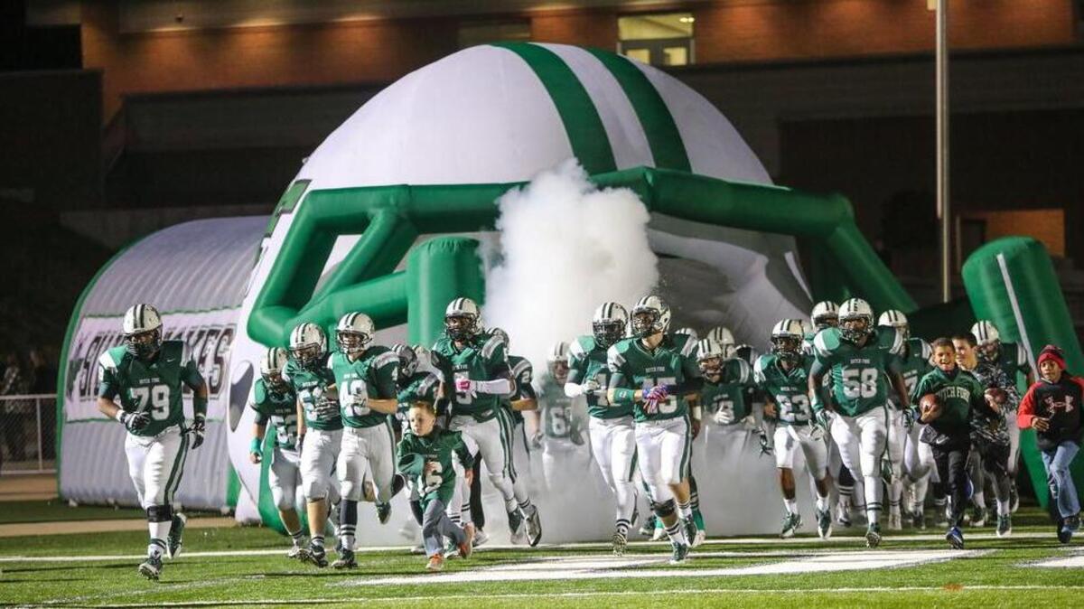 Dutch Fork High Silver Foxes