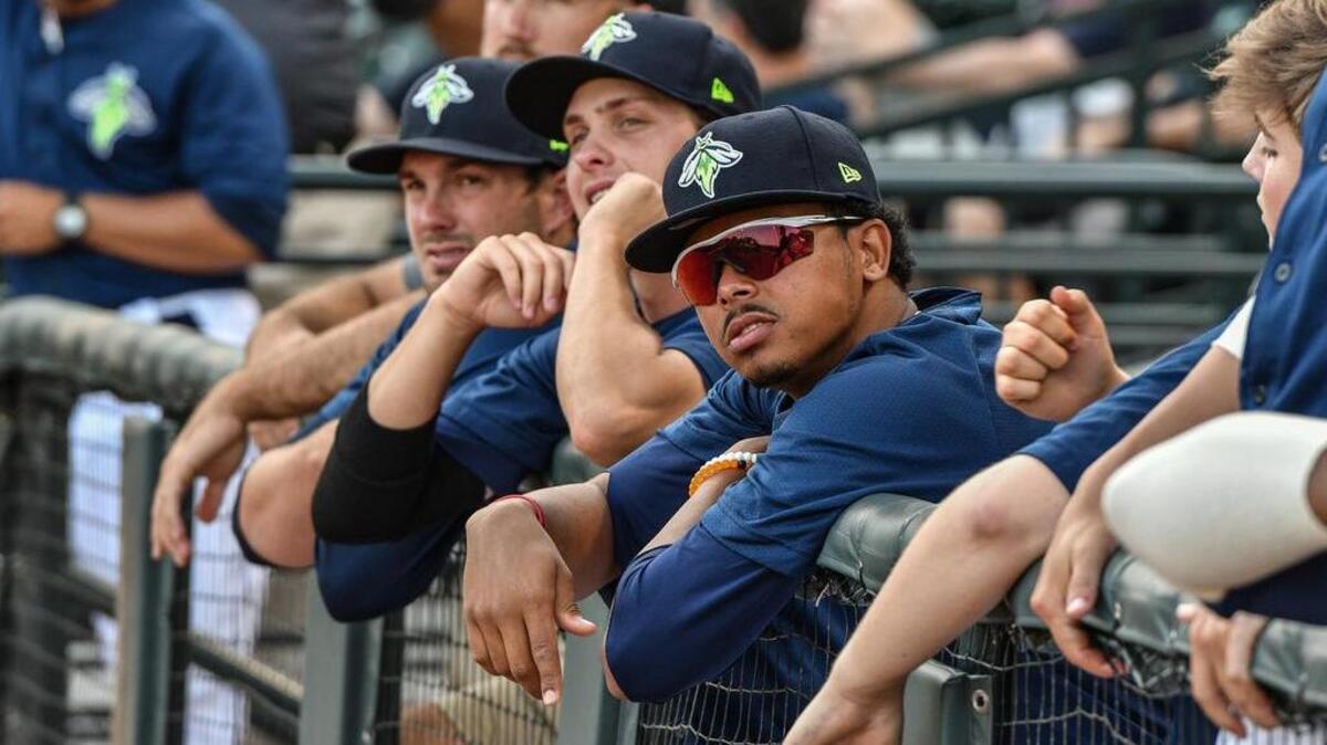 Fireflies players look on at the field in a game earlier this season.