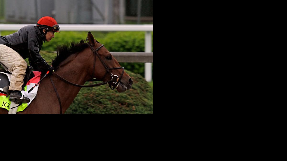 
Kentucky Derby hopeful Keen Ice is put through a morning workout by jockey Tammy Fox at Churchill Downs in Louisville, Ky., on Saturday.
